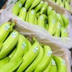 Barraganete Plantains PREMIUM box 22.7 Kg - Imagen 6