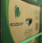Barraganete Plantains PREMIUM box 22.7 Kg - Imagen 9