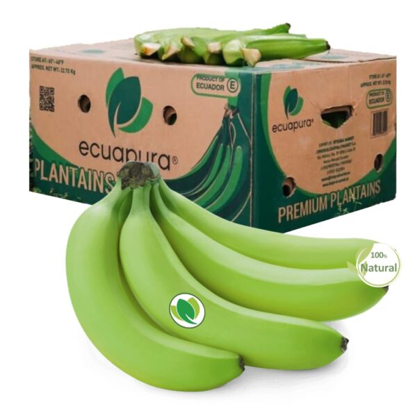 Platano.barraganete-nexagra-01 Barraganete Plantains PREMIUM box 22.7 Kg - Imagen 1