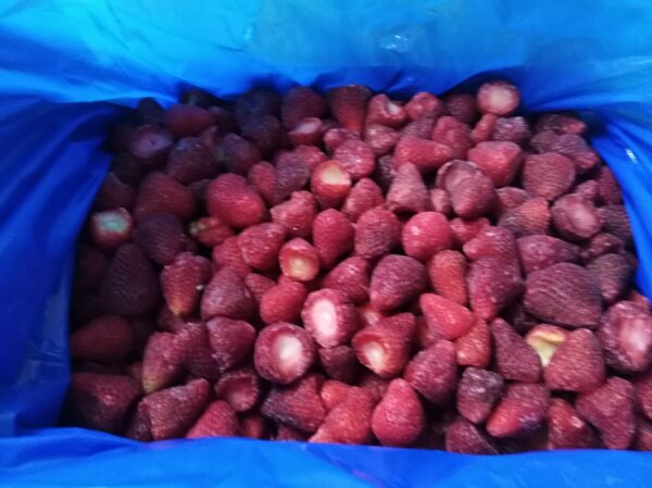Frozen strawberries box 10KG TerraVerde - Imagen 9