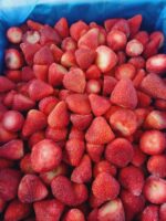 Frozen strawberries box 10KG TerraVerde - Imagen 2