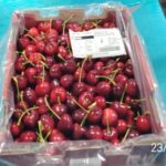 Chilean Cherries 2,5Kg box Latinfruit - Imagen 4