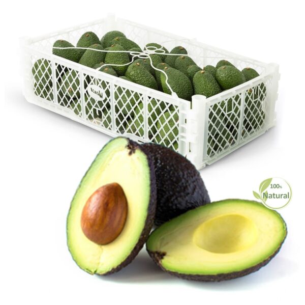 avocadohas-nexagra-01 Hass avocado CAT1 box 10Kg Zaino - Imagen 1