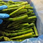 IQF Frozen Asparagus Box of 30Lb Vifrut - Imagen 3