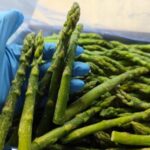 IQF Frozen Asparagus Box of 30Lb Vifrut - Imagen 4