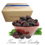 Frozen Blackberries box 10KG TerraVerde