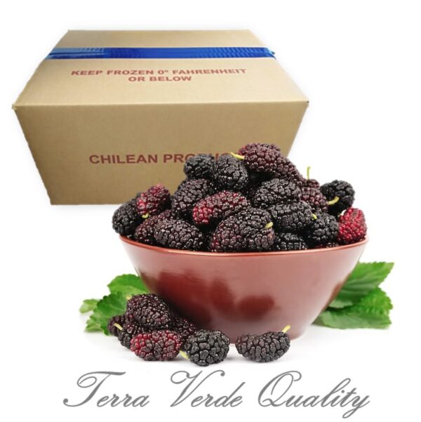 Frozen Blackberries box 10KG TerraVerde - Imagen 1